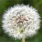 c6d63f8ec704153d913d595dbee3160c_1766214637_8165.png